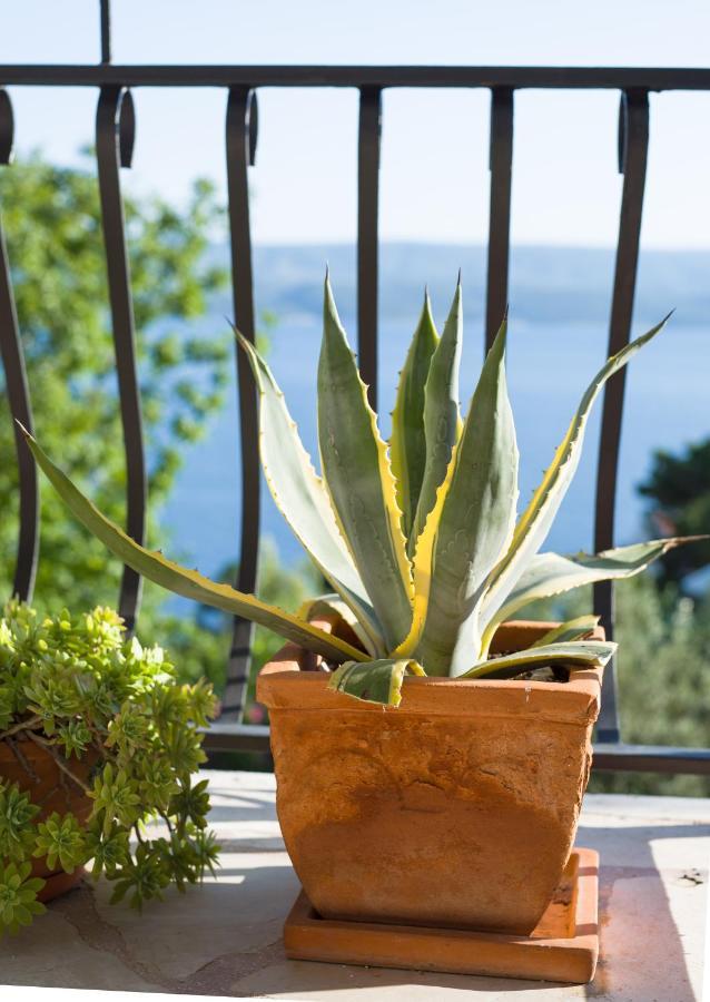 Villa Anima, Stanici, Near Omis Exteriér fotografie
